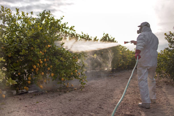 Best Pest Inspection Near Me  in Vernon, WI