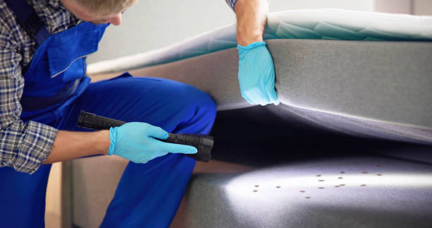 Best Pest Control Near Me  in Vernon, WI
